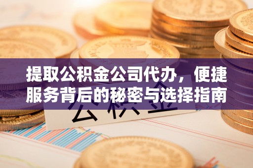 将乐提取公积金公司代办，便捷服务背后的秘密与选择指南