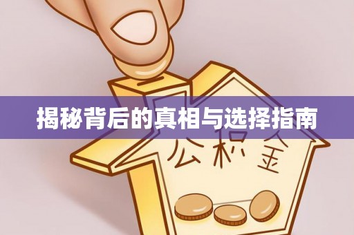 将乐揭秘背后的真相与选择指南