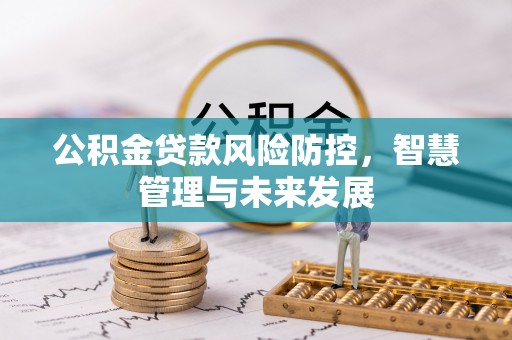 将乐公积金贷款风险防控，智慧管理与未来发展