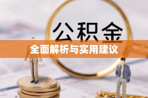 将乐全面解析与实用建议