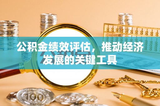 将乐公积金绩效评估，推动经济发展的关键工具