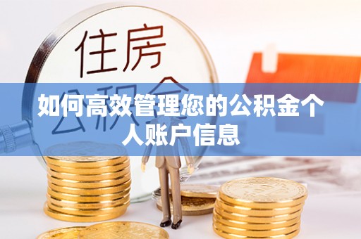 将乐如何高效管理您的公积金个人账户信息