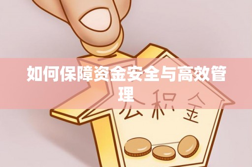 将乐如何保障资金安全与高效管理