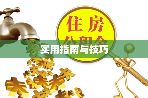 将乐实用指南与技巧