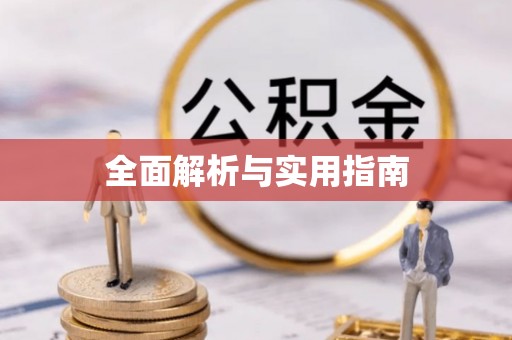 将乐全面解析与实用指南