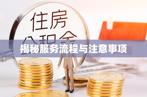 将乐揭秘服务流程与注意事项