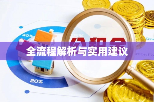 将乐全流程解析与实用建议