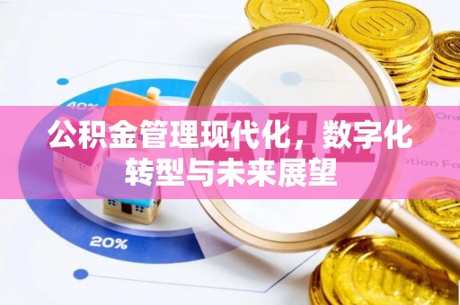 将乐公积金管理现代化，数字化转型与未来展望