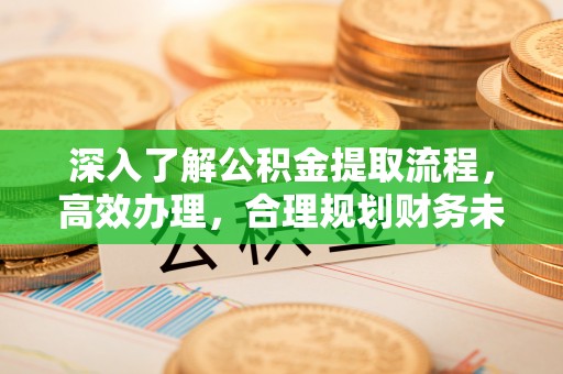 将乐深入了解公积金提取流程，高效办理，合理规划财务未来