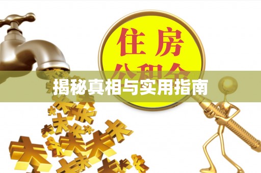 将乐揭秘真相与实用指南