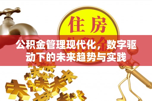 将乐公积金管理现代化，数字驱动下的未来趋势与实践
