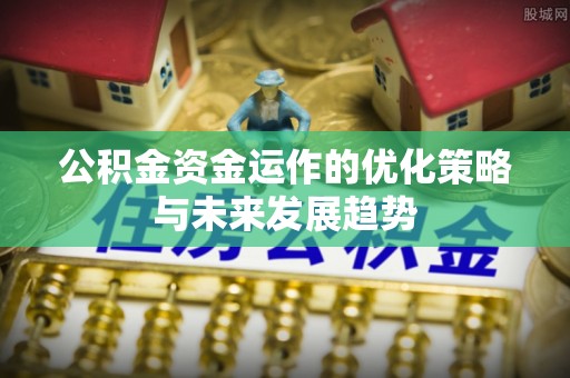 将乐公积金资金运作的优化策略与未来发展趋势