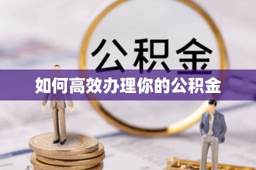 将乐如何高效办理你的公积金