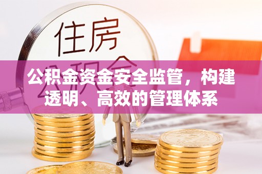 将乐公积金资金安全监管，构建透明、高效的管理体系