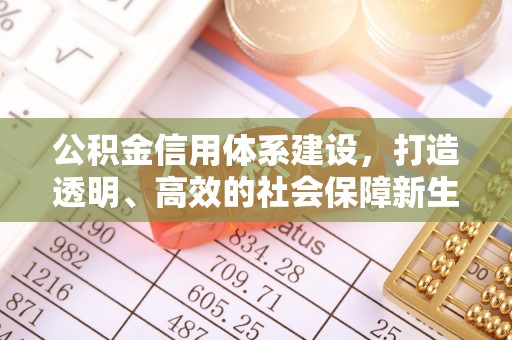 将乐公积金信用体系建设，打造透明、高效的社会保障新生态