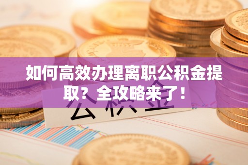 将乐如何高效办理离职公积金提取？全攻略来了！