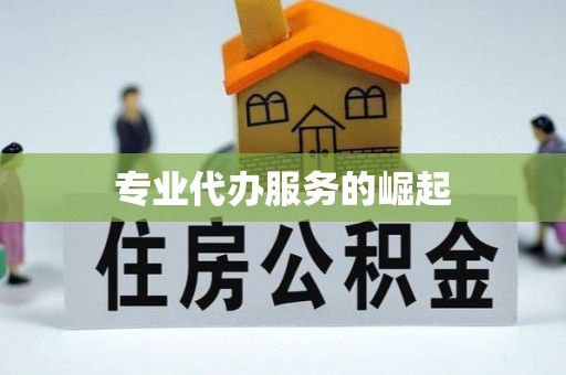 将乐专业代办服务的崛起