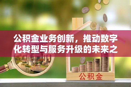 将乐公积金业务创新，推动数字化转型与服务升级的未来之路