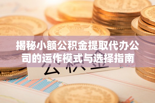 将乐揭秘小额公积金提取代办公司的运作模式与选择指南