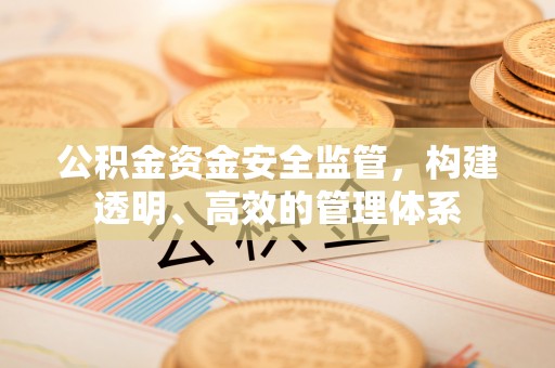 将乐公积金资金安全监管，构建透明、高效的管理体系