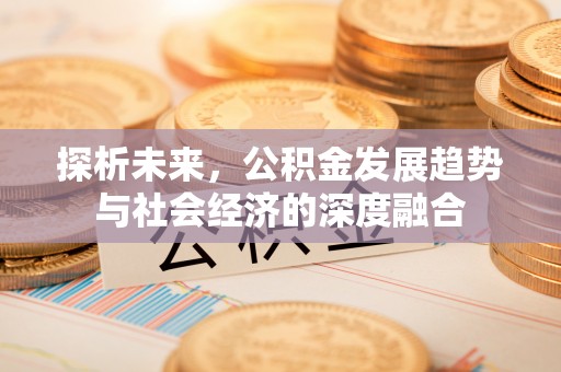 将乐探析未来，公积金发展趋势与社会经济的深度融合