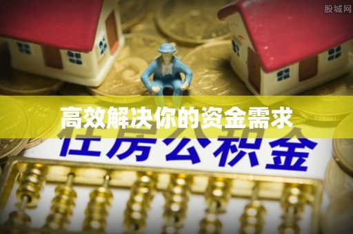 将乐高效解决你的资金需求