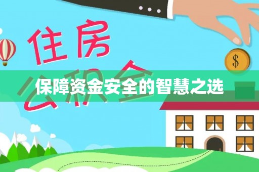 将乐保障资金安全的智慧之选