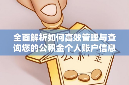 将乐全面解析如何高效管理与查询您的公积金个人账户信息