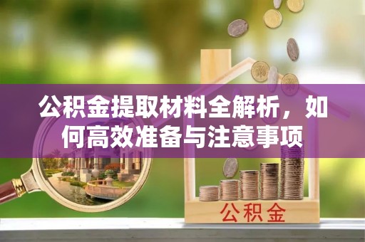 将乐公积金提取材料全解析，如何高效准备与注意事项