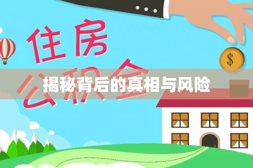 将乐揭秘背后的真相与风险