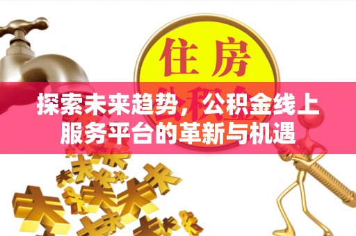 将乐探索未来趋势，公积金线上服务平台的革新与机遇