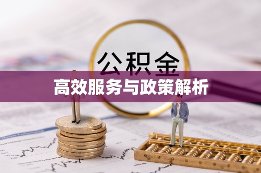 将乐高效服务与政策解析