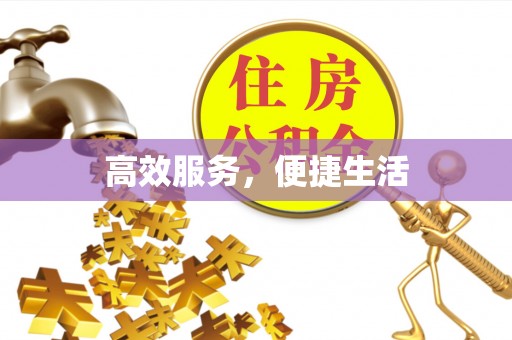 将乐高效服务，便捷生活