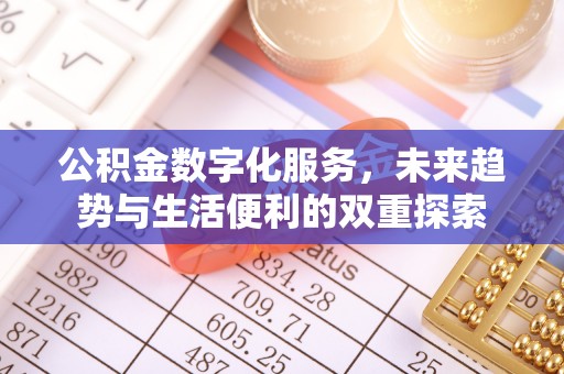 将乐公积金数字化服务，未来趋势与生活便利的双重探索