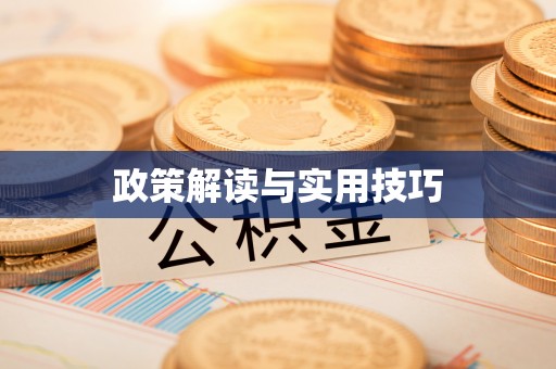 将乐政策解读与实用技巧