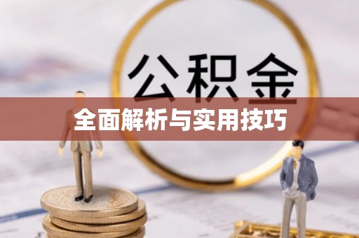 将乐全面解析与实用技巧