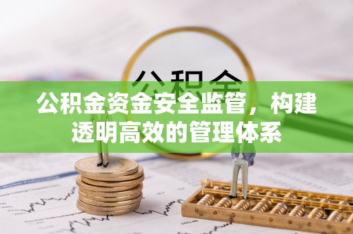 将乐公积金资金安全监管，构建透明高效的管理体系