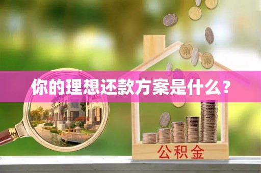 将乐你的理想还款方案是什么？