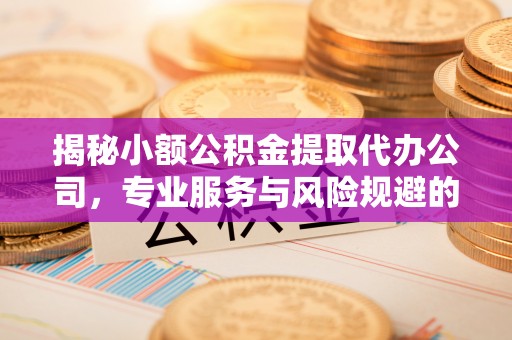 将乐揭秘小额公积金提取代办公司，专业服务与风险规避的平衡艺术