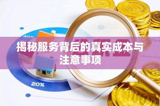 将乐揭秘服务背后的真实成本与注意事项