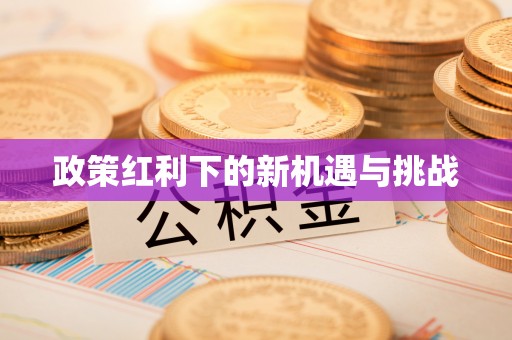 将乐政策红利下的新机遇与挑战