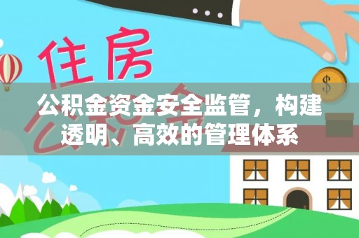 将乐公积金资金安全监管，构建透明、高效的管理体系