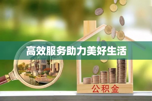 将乐高效服务助力美好生活
