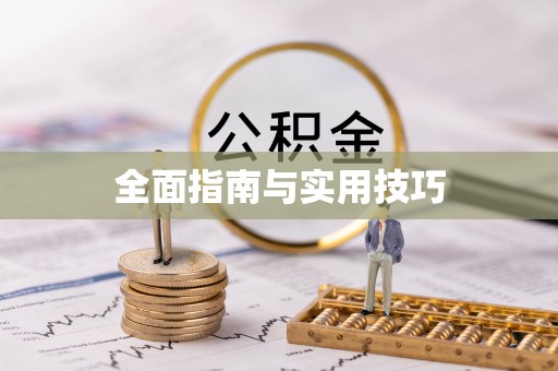 将乐全面指南与实用技巧