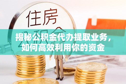 将乐揭秘公积金代办提取业务，如何高效利用你的资金