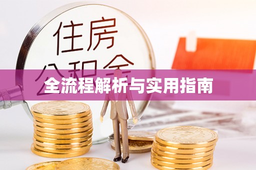 将乐全流程解析与实用指南