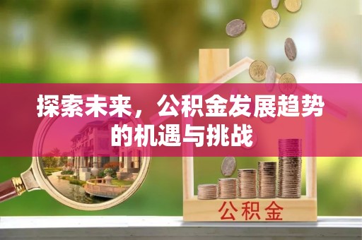 将乐探索未来，公积金发展趋势的机遇与挑战