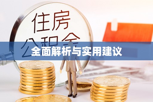 将乐全面解析与实用建议