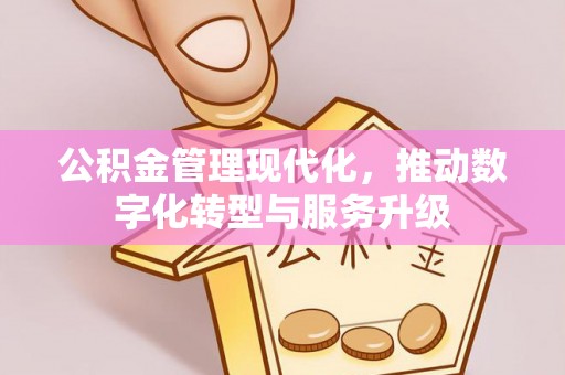 将乐公积金管理现代化，推动数字化转型与服务升级