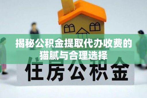 将乐揭秘公积金提取代办收费的猫腻与合理选择